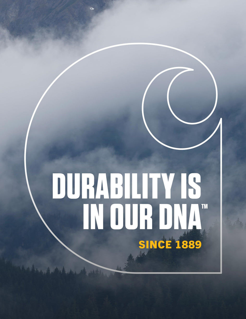 Carhartt Men's Knit Cuffed Beanie